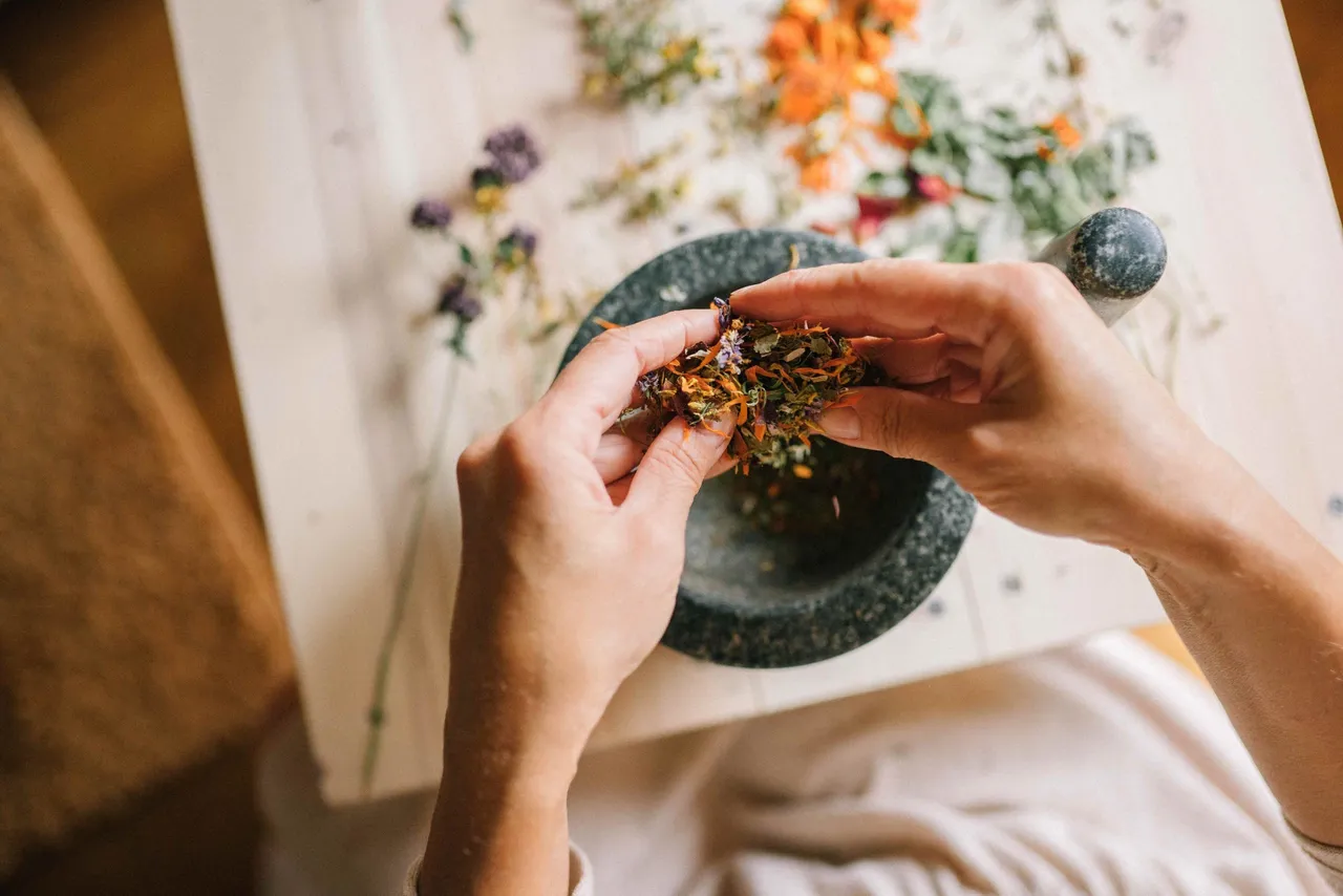 Hands preparing botanical ingredients with a mortar and pestle