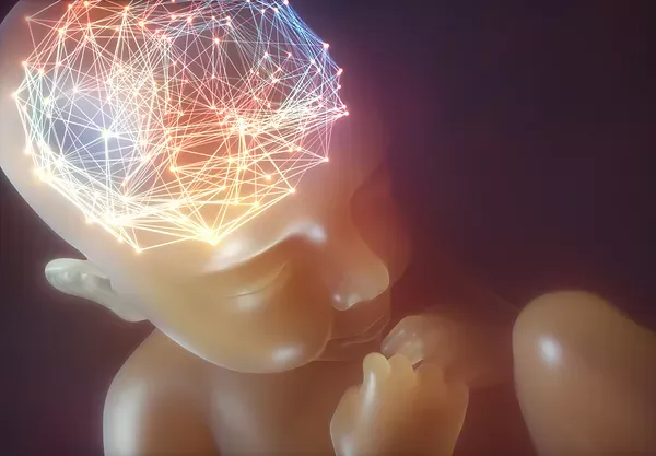 Illustration of brain network activity, reflecting brain-based care on the Gold Coast