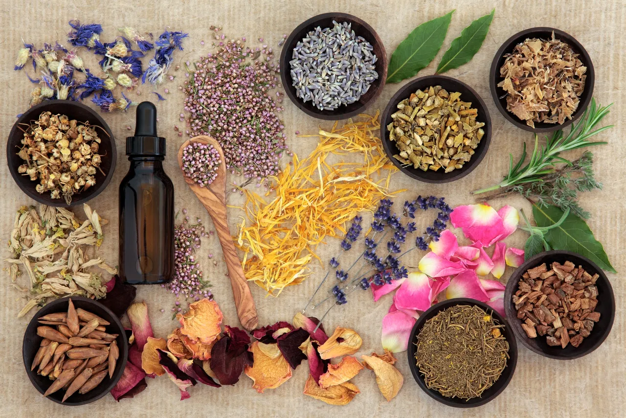 Dried herbs, seeds and botanical preparations used in naturopathy